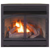 Procom Dual Fuel Ventless Gas Fireplace Insert - 32,000 Btu, Remote Contro FBNSD400RT-ZC